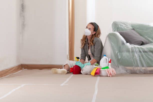 Reliable Mold Remediation contractor in Chelsea, MI by Mold Remediation HQ
